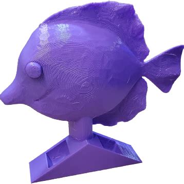 fish hexa|FishOfHex Aquatics .